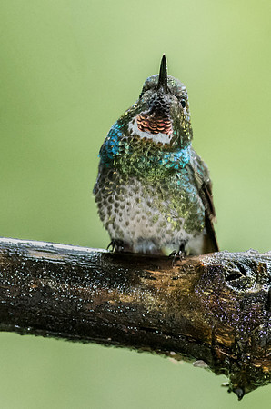 20150109_Ecuador_0003