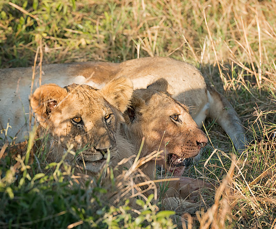 20130913_Kenya_0013-4