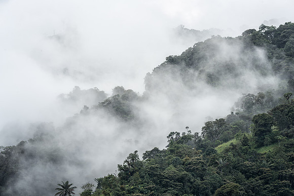 20150108_Ecuador_0018
