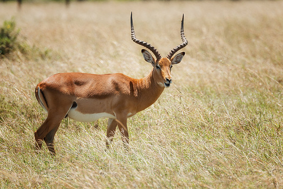 20130907_Kenya_0014