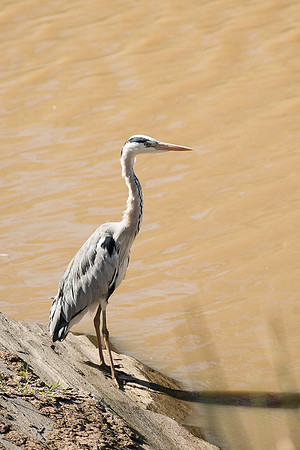 20130914_Kenya_0020-2