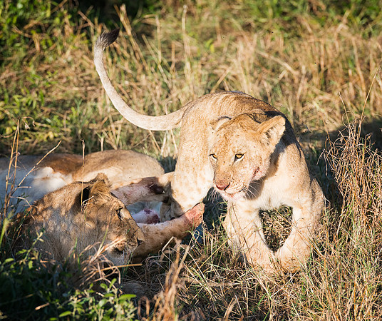 20130913_Kenya_0001-10