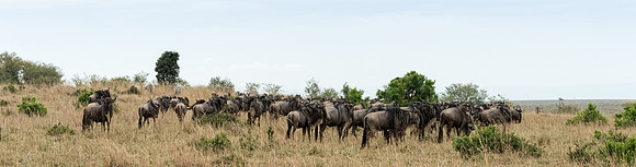 20130918_Kenya_0002