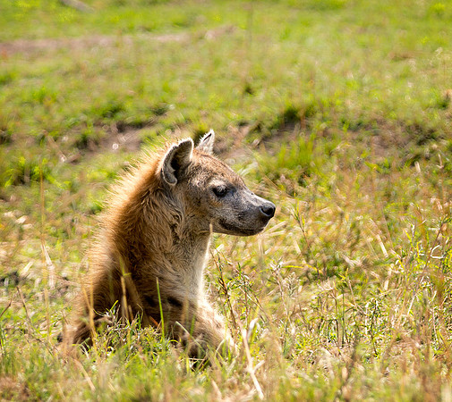 20130917_Kenya_0019