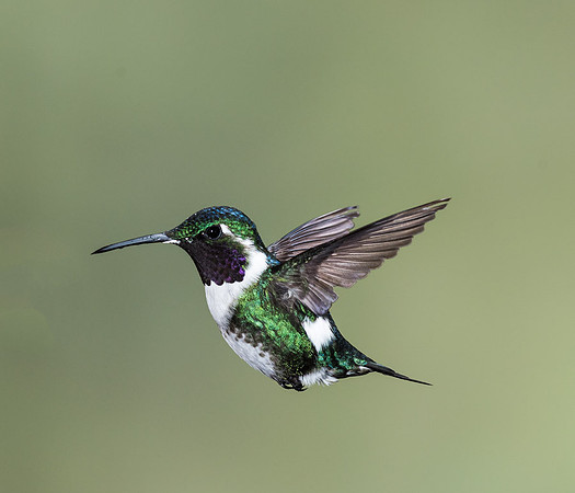 20150110_Ecuador_0017