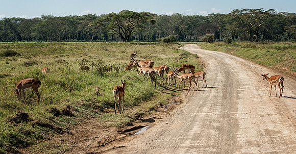20130911_Kenya_0001-3