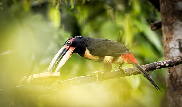 20150107_Ecuador_0001