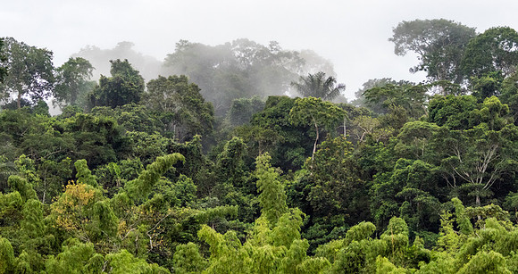 20150117_Ecuador_0003