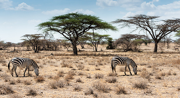 20130909_Kenya_0008-2