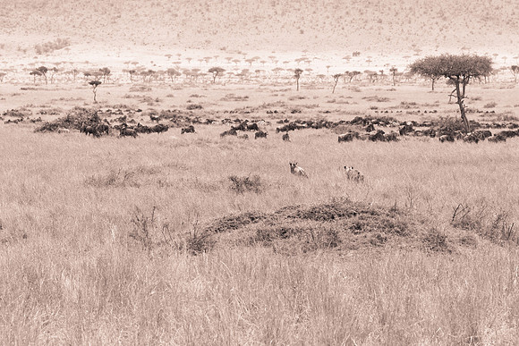 20130919_Kenya_0022