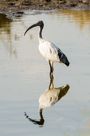 20130917_Kenya_0012