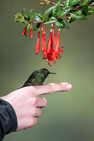 20150110_Ecuador_0023
