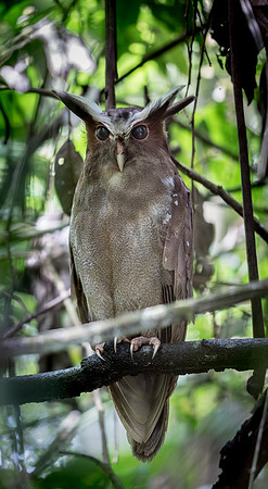 20150117_Ecuador_0001