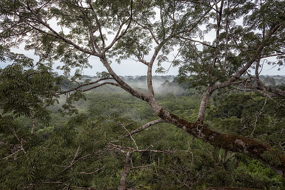 20150118_Ecuador_0001