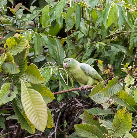 20150117_Ecuador_0013