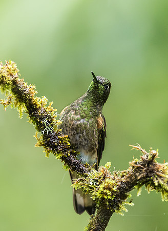 20150110_Ecuador_0006