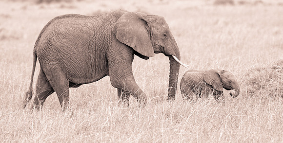 20130919_Kenya_0065
