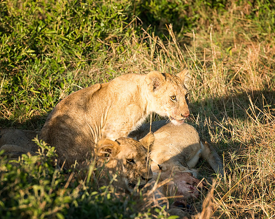 20130913_Kenya_0001-9