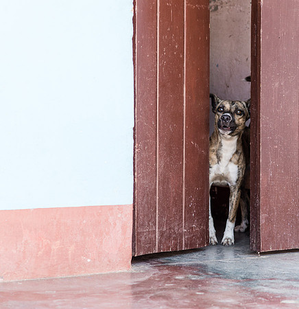 20140129_cuba_0083-2
