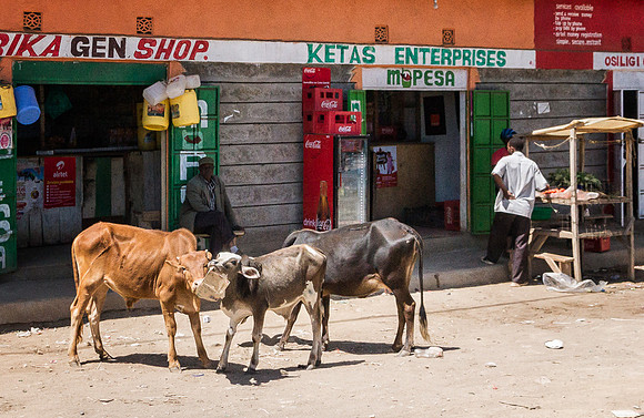 20130913_Kenya_0016