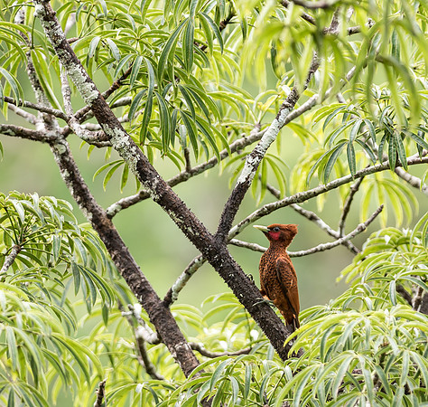 20150116_Ecuador_0009
