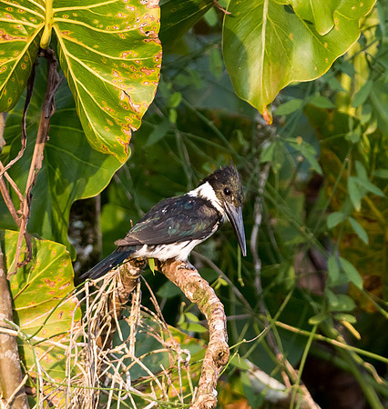20150118_Ecuador_0024