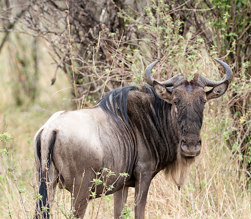 20130918_Kenya_0005