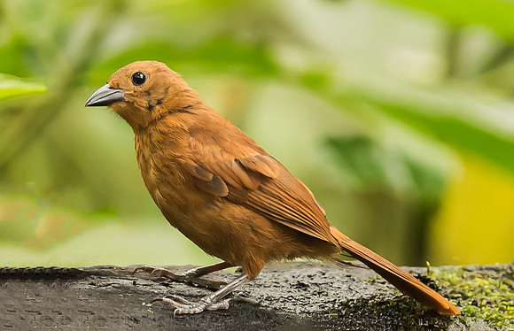 20150107_Ecuador_0001