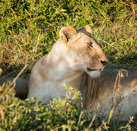 20130913_Kenya_0014-4
