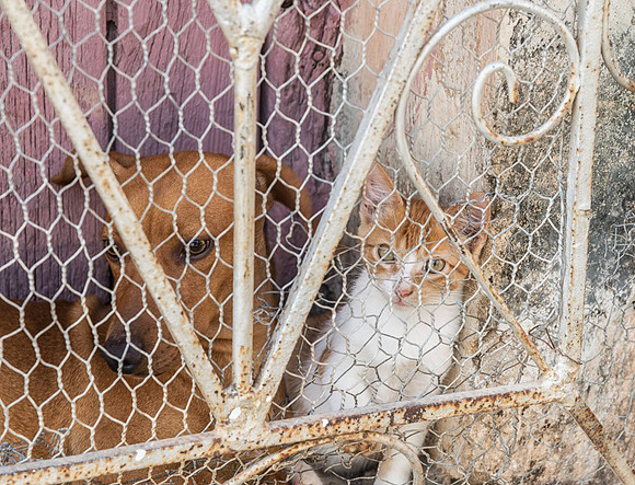 20140129_cuba_0638-Edit