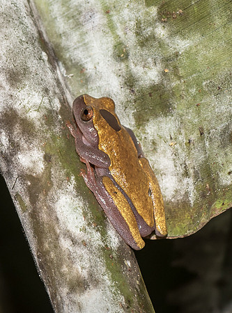 20150117_Ecuador_0014