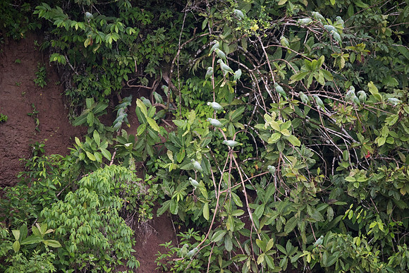 20150117_Ecuador_0004