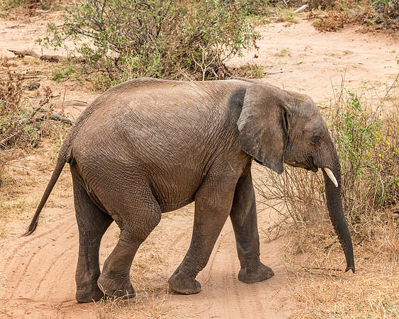20130909_Kenya_0019