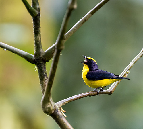 20150107_Ecuador_0001
