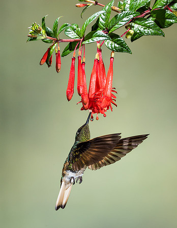 20150110_Ecuador_0022