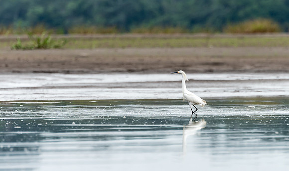 20150117_Ecuador_0009