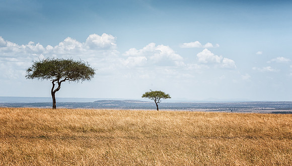 20130913_Kenya_0001-7