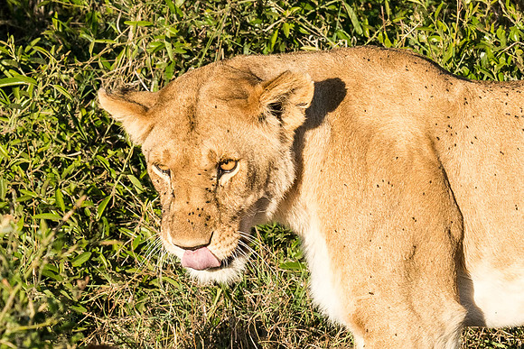 20130913_Kenya_0007-4