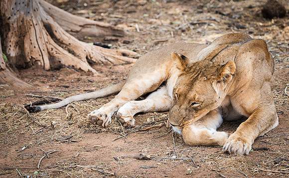 20130909_Kenya_0014-2