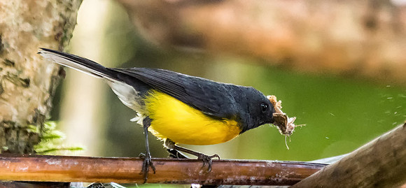 20150108_Ecuador_0021