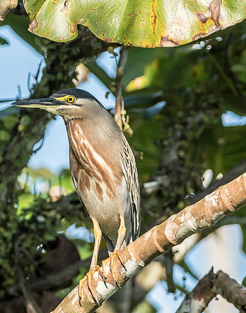 20150117_Ecuador_0018