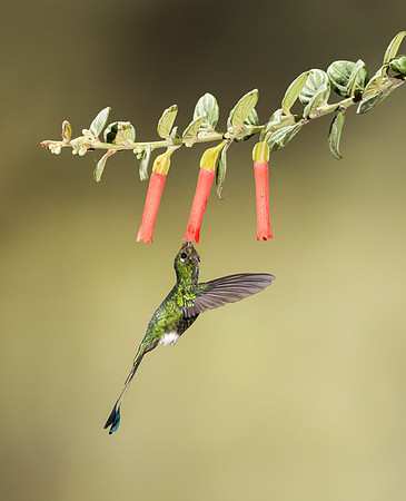 20150106_Ecuador_0005
