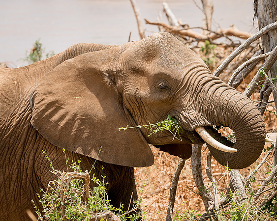 20130909_Kenya_0021