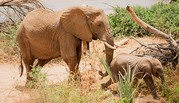 20130909_Kenya_0017