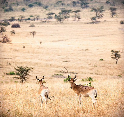 20130916_Kenya_0002