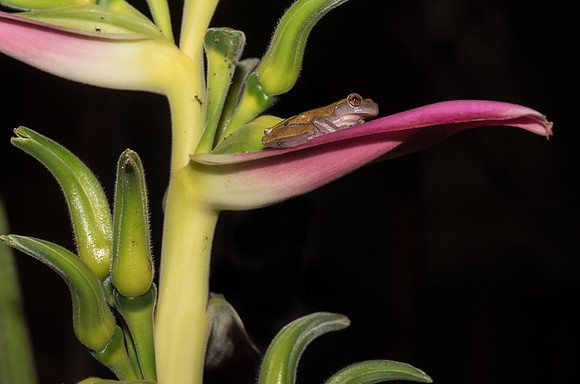 20150117_Ecuador_0002