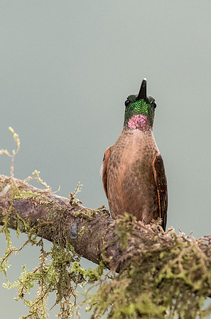 20150105_Ecuador_0001