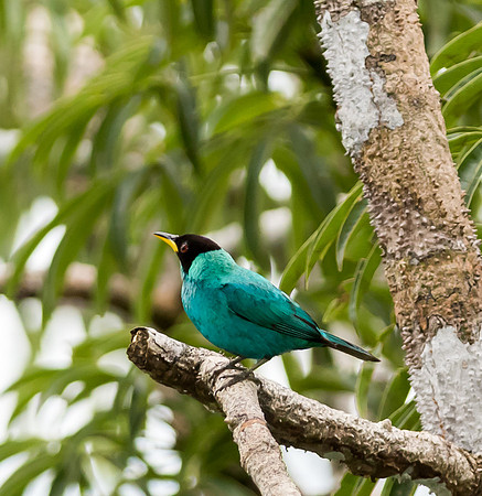 20150118_Ecuador_0020
