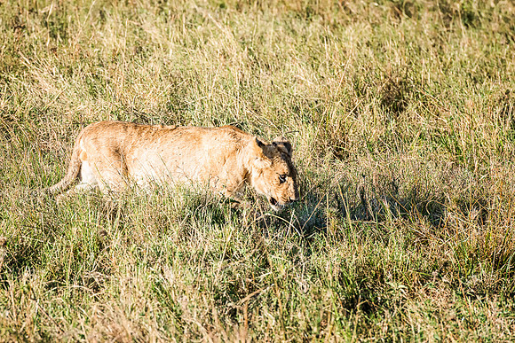 20130913_Kenya_0004-2