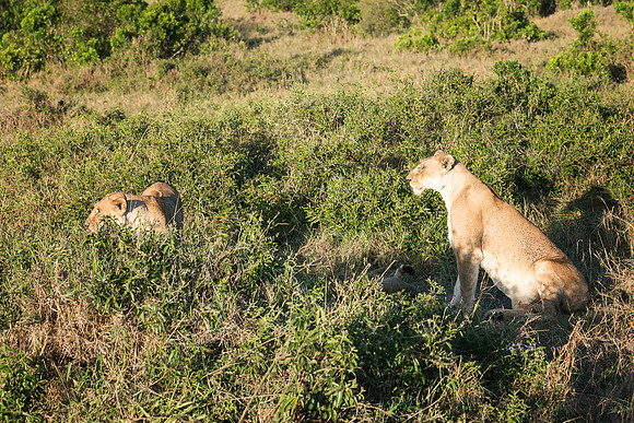 20130913_Kenya_0016-4